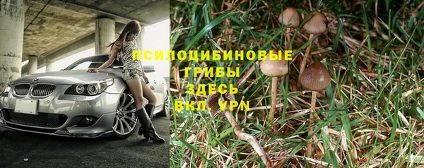PSILOCYBIN Аркадак