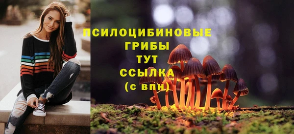 jwh Арсеньев