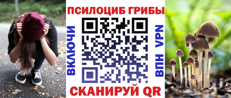 MEGA ссылки  Грайворон  Галлюциногенные грибы Magic Shrooms  закладка 