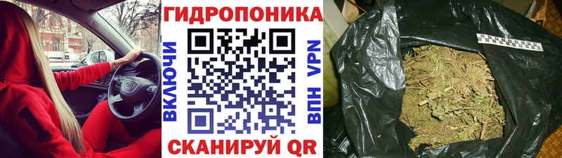 Бошки Шишки сатива  Грайворон 